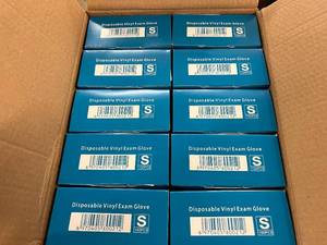 lot 287 image: 10 x 100ct Packs Disposable Vinyl Exam Gloves - Size Small