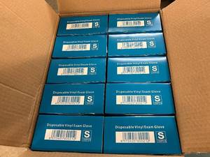 lot 289 image: 10 x 100ct Packs Disposable Vinyl Exam Gloves - Size Small