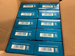 lot 294 image: 10 x 100ct Packs Disposable Vinyl Exam Gloves - Size Small