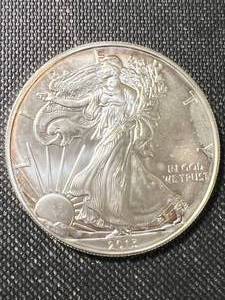 2013 AMERICAN SILVER EAGLE 1 TROY OZ .999 FINE SILVER