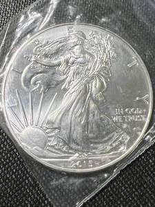 2015 AMERICAN SILVER EAGLE 1 TROY OZ .999 FINE SILVER