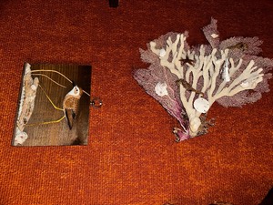 lot 12 image: Coral And Shell Wall Art