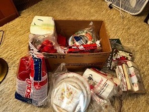 lot 123 image: Large Box Of Paper Products, Seasonal Plates, Napkins, Cups, As Seen In Photo