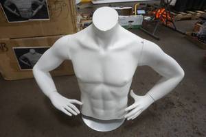 lot 428 image: male mannequin torso