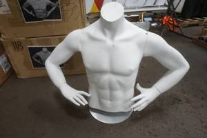 lot 429 image: male mannequin torso