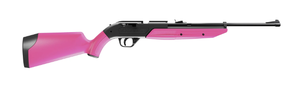 lot 425 image: Crosman 760 Pumpmaster .177 Cal , 695fps, Variable Pump Works with BB or Pellet