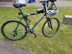 lot 193 image: Giant Iguana Mountain Bike with Accessories