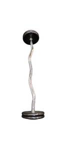lot 21 image: 55LB Weights Fixed on Eazy Curl Bar