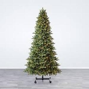 lot 1 image: Evergreen Classics Grow and Stow 7-9 Sonoma Fir Tree