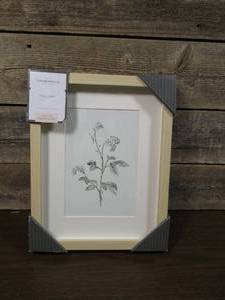 lot 246 image: 11 x 14 Plant Print Framed Wall Art Target Threshold designed with Studio McGee