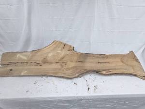 Black Walnut Live Edge Slab