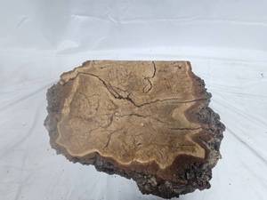 Burr Oak Live Edge Slab