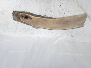 White Oak Live Edge Slab