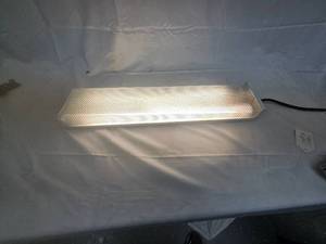 Florescent Light