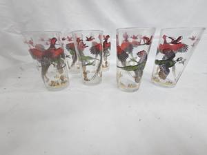 Bird  Glasses