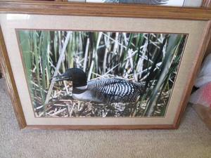 lot 10 image: Framed and matted loon print...