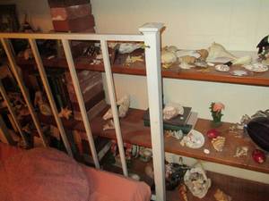 lot 325 image: Large collection of shells and sea ...