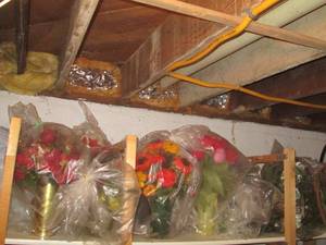 lot 337 image: Deep Shelf of Fall and Spring potte...