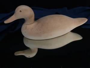 DUCK DECOY