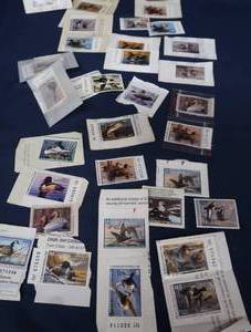 HUNTING LICENSING STAMPS