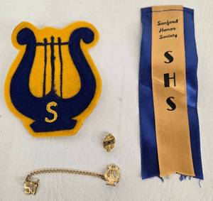lot 98 image: Vintage 1957 SANFORD Ribbon, Band Patch & Lapel Pins 