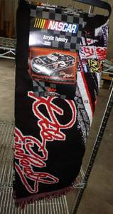 lot 40 image: Dale Earnhardt throw blanket and collector plate