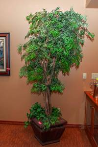 lot 25 image: Large Artificial Tree #1