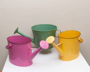lot 125 image: Watering Cans