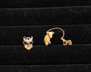 lot 144 image: Vintage Elks Lodge Lapel Pins