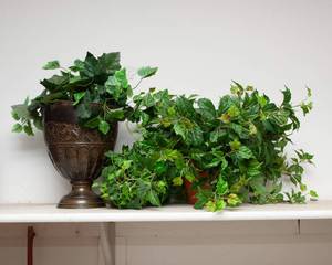 lot 193 image: Artificial Greenery #1
