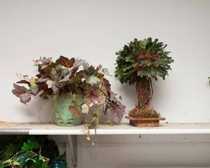 lot 195 image: Artificial Greenery #3