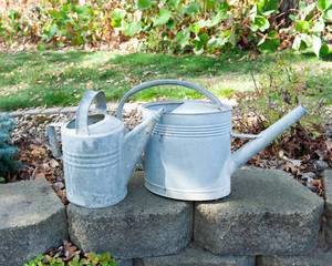 lot 204 image: Tin Watering Can Outdoor Decor