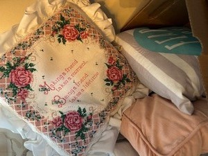 3 Throw Pillows