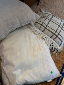 Throw Pillows and more