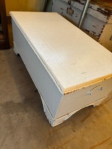 White Trunk