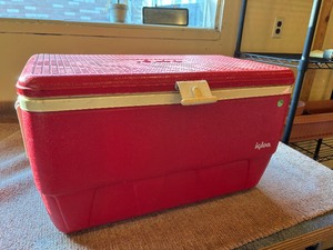 Igloo Cooler
