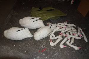 lot 136 image: Swan Hunting Decoys