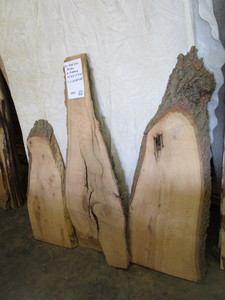 Red Oak Slabs Two Matched 1-14 x...