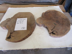 Red Oak Cookies, Two 2 Thick, 20D...