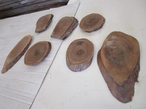 Walnut Rounds, Seven 1 Thick, 4 -...