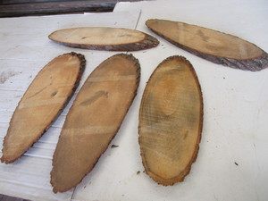 Basswood Rounds, Five 1 Thick, 6W...