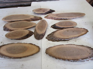 Walnut Ovals, Ten 34 Thick, 4W x...