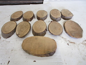 Butternut Ovals, Eleven 34 Thick,...
