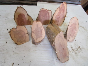 Cedar Wedges, Seven 7W x 8H...