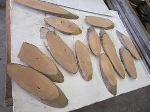 White Pine Ovals, Twelve 34 Thick...
