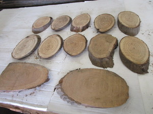Butternut Ovals, Twelve 78 Thick,...