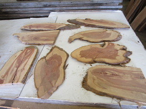 Cedar Ovals, Eight 34 Thick, 4-1...
