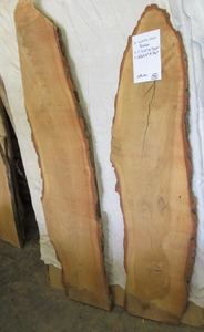 Two White Oak Slabs, 1 Thick, 12 ...