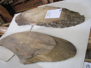Hackberry Ovals, Two 2 Thick, 13W...