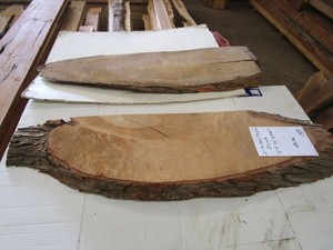 Silver Maple Ovals, Two 2 Thick, 1...